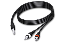 Cab715/3 - mono jack - 2 male RCA kabel - 3m